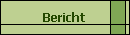 Bericht